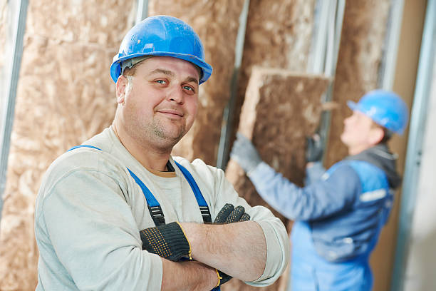 Best Insulation Installation Services in Norwalk, OH